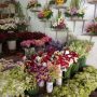 Bali Florist Shop