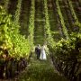 Immerse Winery - Wedding Venue, Dixons Creek, Yarra Valley