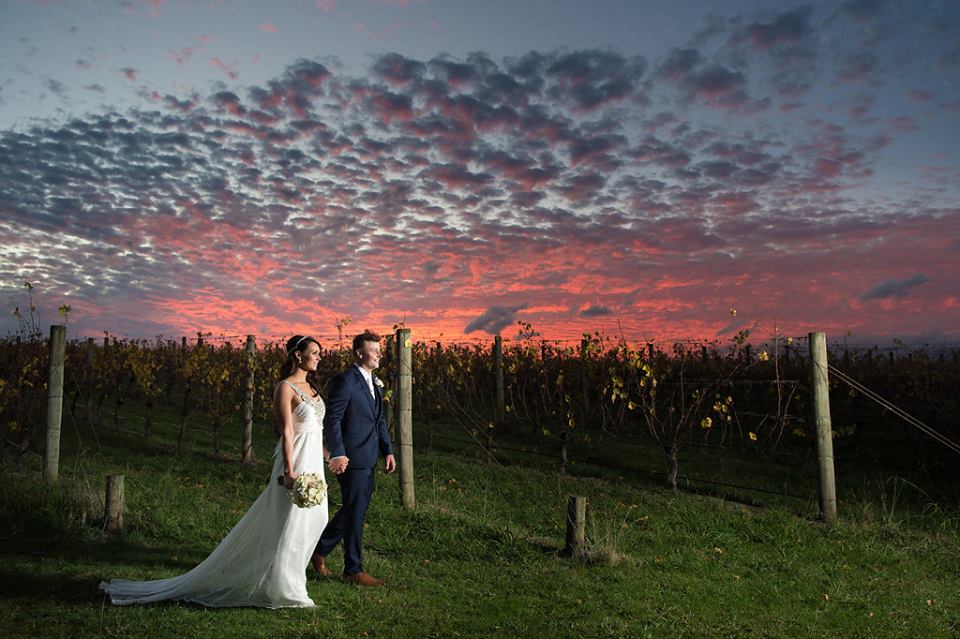 Winery Wedding Venue Yarra Valley - Oakridge Wines Wedding Couples amid vineyards at Oakridge Wines