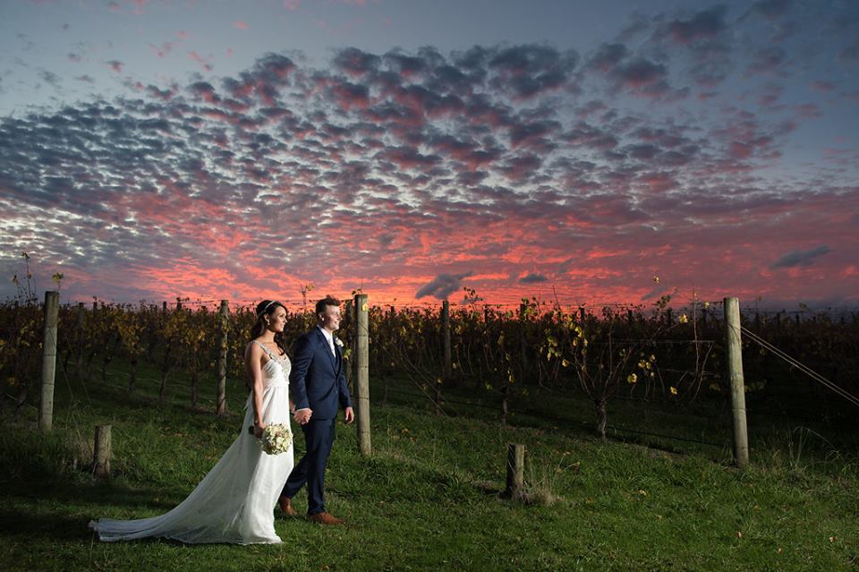 Wedding Couples amid vineyards at Oakridge Wines