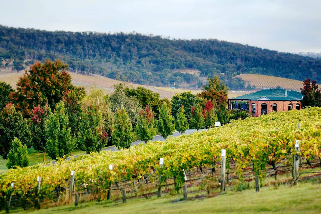 De Bortoli Wines - Wedding Venue, Dixons Creek, Yarra Valley - Parties2Weddings