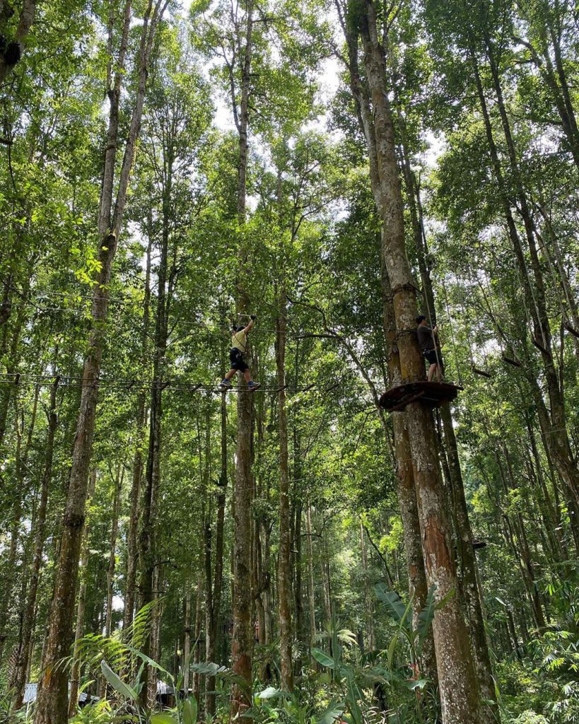 Treetop Adventure for an Unforgettable Family Holiday