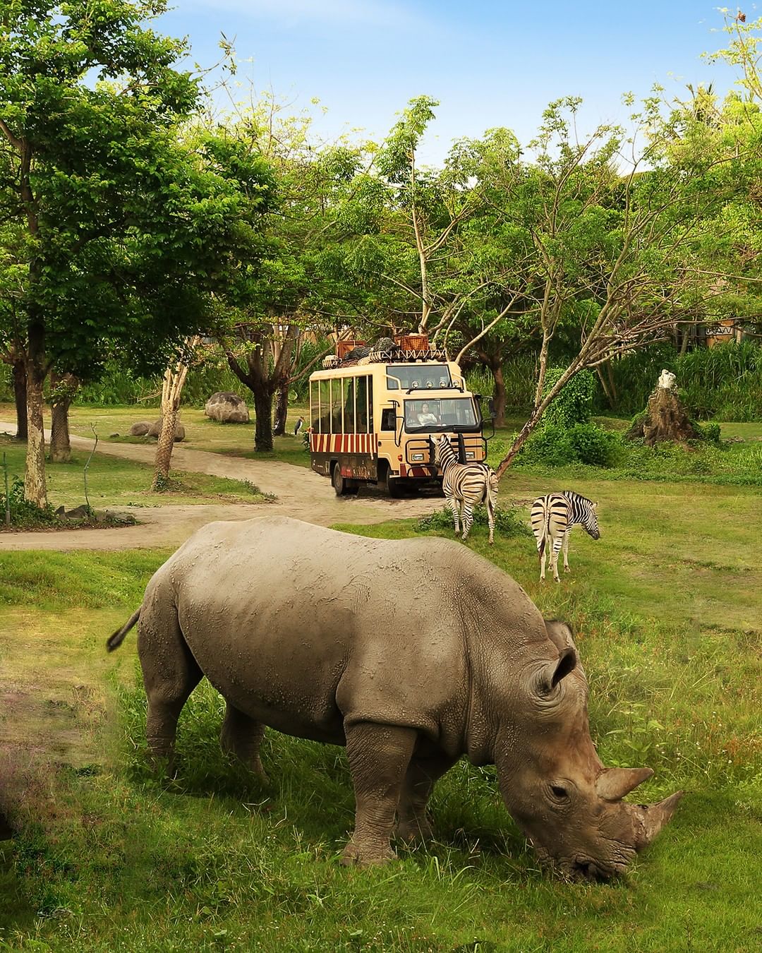 Family Activity at Bali Safari and Marine Park Family Activity at Bali Safari and Marine Park