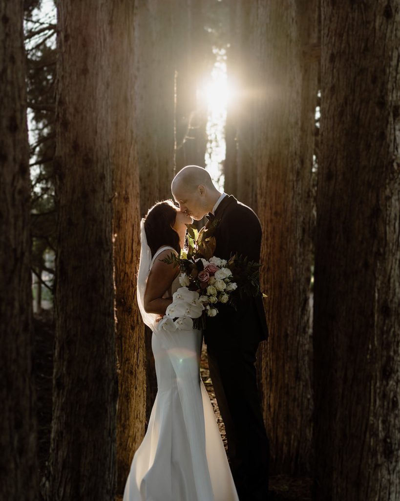 A couple kissing under towering tree at Combee Yarra Valley