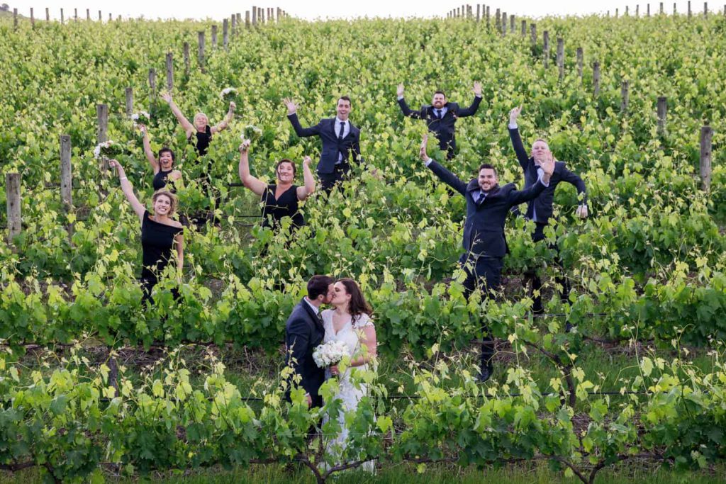 Wedding couples, groomsmen, and bridesmaid among the vines rows ant Vines The Yarra Valley