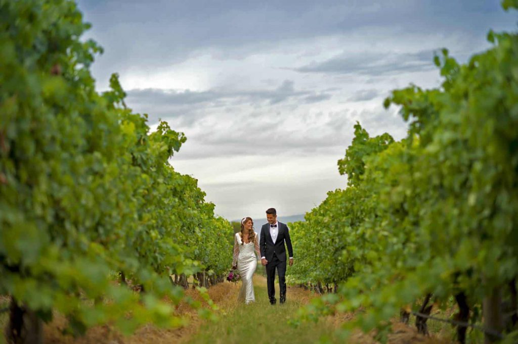 Intimate Winery Wedding Venues Melbourne - Vines at The Yarra Valley A wedding couple is walking amid the grapevines rowsn at Vines at The Yarra Valley