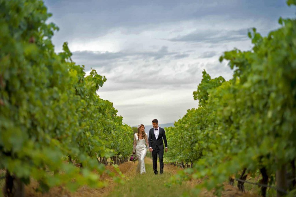 A wedding couple walking along the rows of vines at Vines at The Yarra Valley