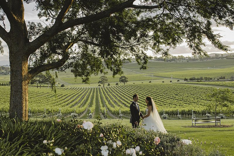 A wedding couple holding hands with vineyards of De Bortoli Wines as a backdrop