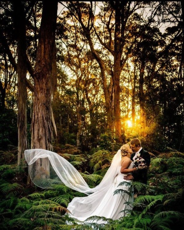 Best Popular Blue Mountains Wedding Venue - Chapel Hill Retreat