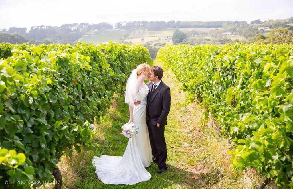 A wedding couple between vine rows
