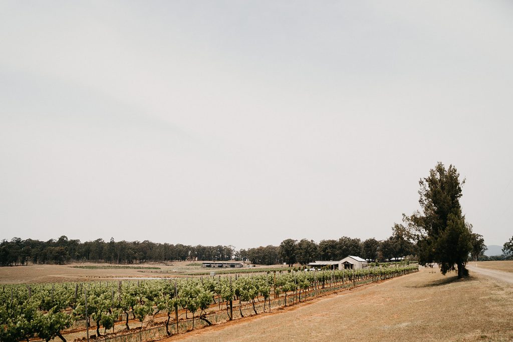 Amazing Rustic Wedding Venues in Hunter Valley - Bimbadgen Palmers Lane Bimbadgen wineries and barn from afar under the daylight