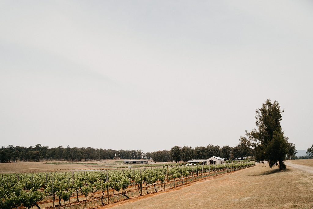 Bimbadgen wineries and barn from afar under the daylight