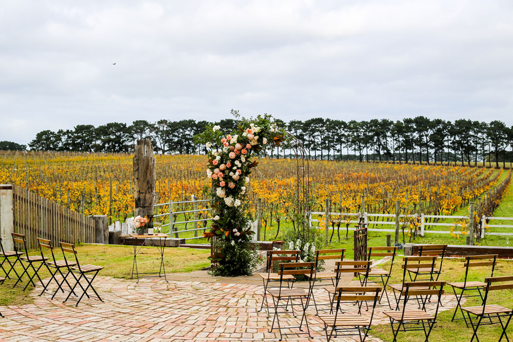 An arbour with the backdrop of Vineyards at Oneday Estate