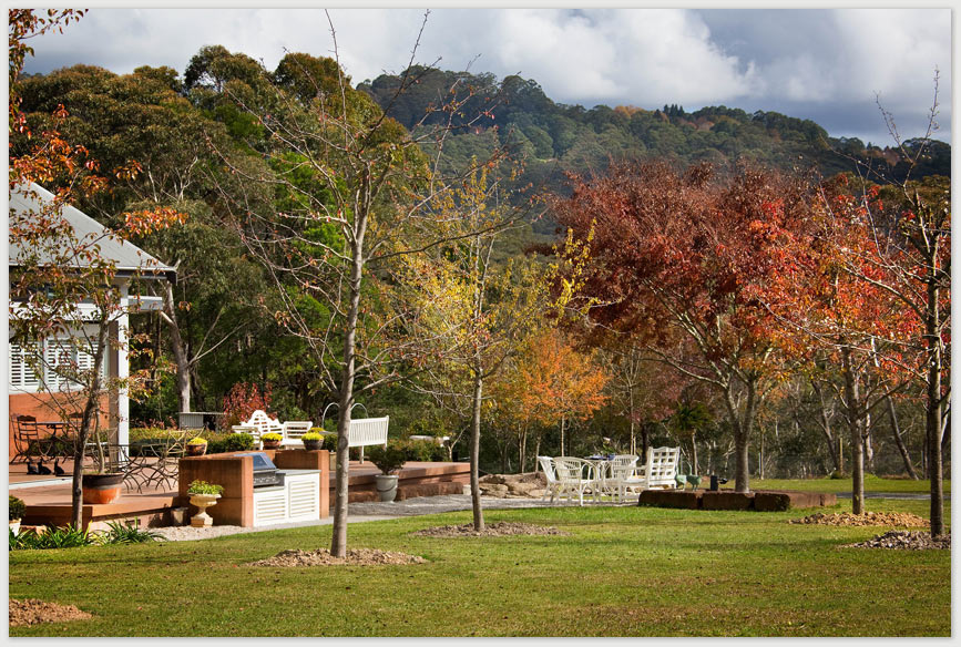 A courtyards with red and green -leaf trees and a barbeque station