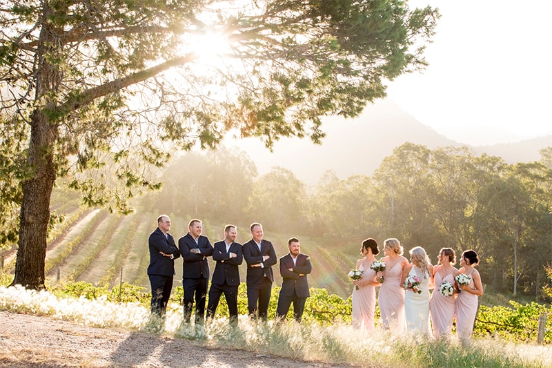 Bride, bridesmaids, groom, and groomsmen are standing on a bush land against the vineyard