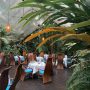 Nautilus Restaurant - Wedding Venue, Port Douglas, Queensland